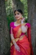 woman in red and blue sari dress